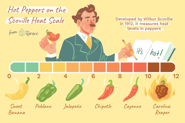 Đơn vị đo độ cay là Scoville Heat Unit (SHU)